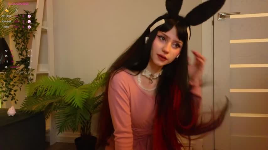 Bunny's Live Webcam